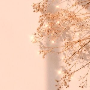 Meet your Posher, Kevianna